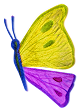 Borboleta
